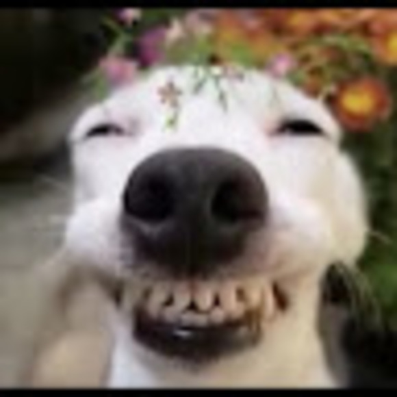 tobyambroziak